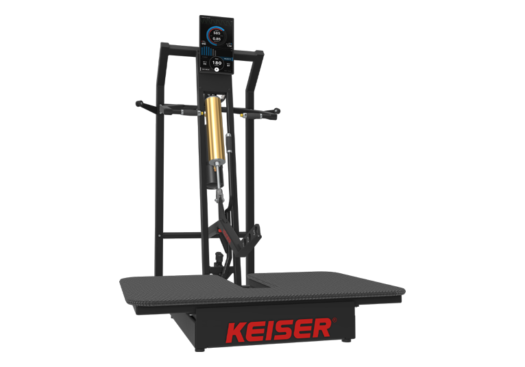 Keiser A400 Belt Squat